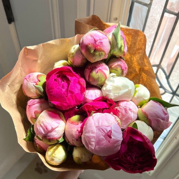 Meet your Posher, Loren - Picture 1 of 1